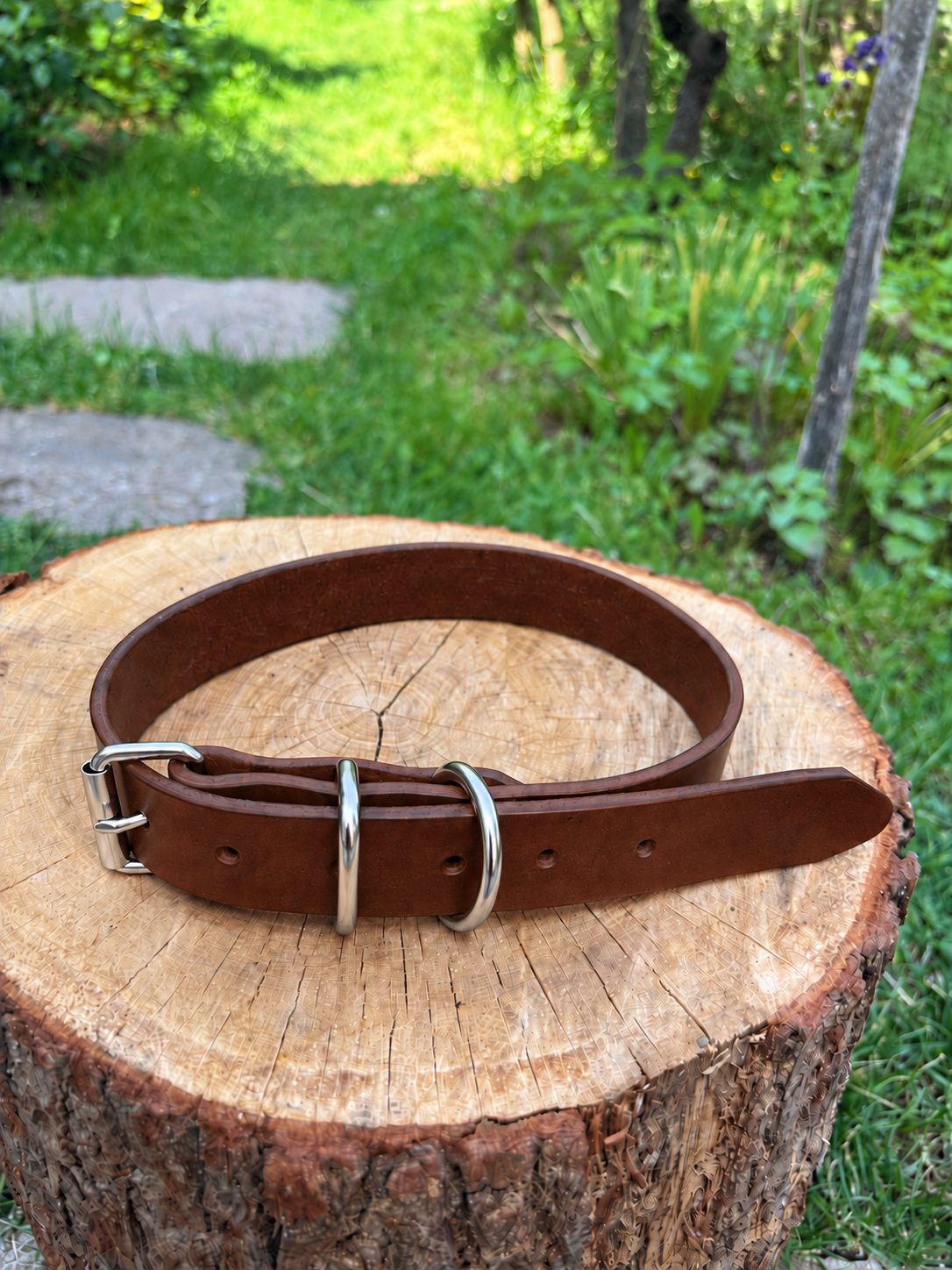 Lotti (3 cm)
