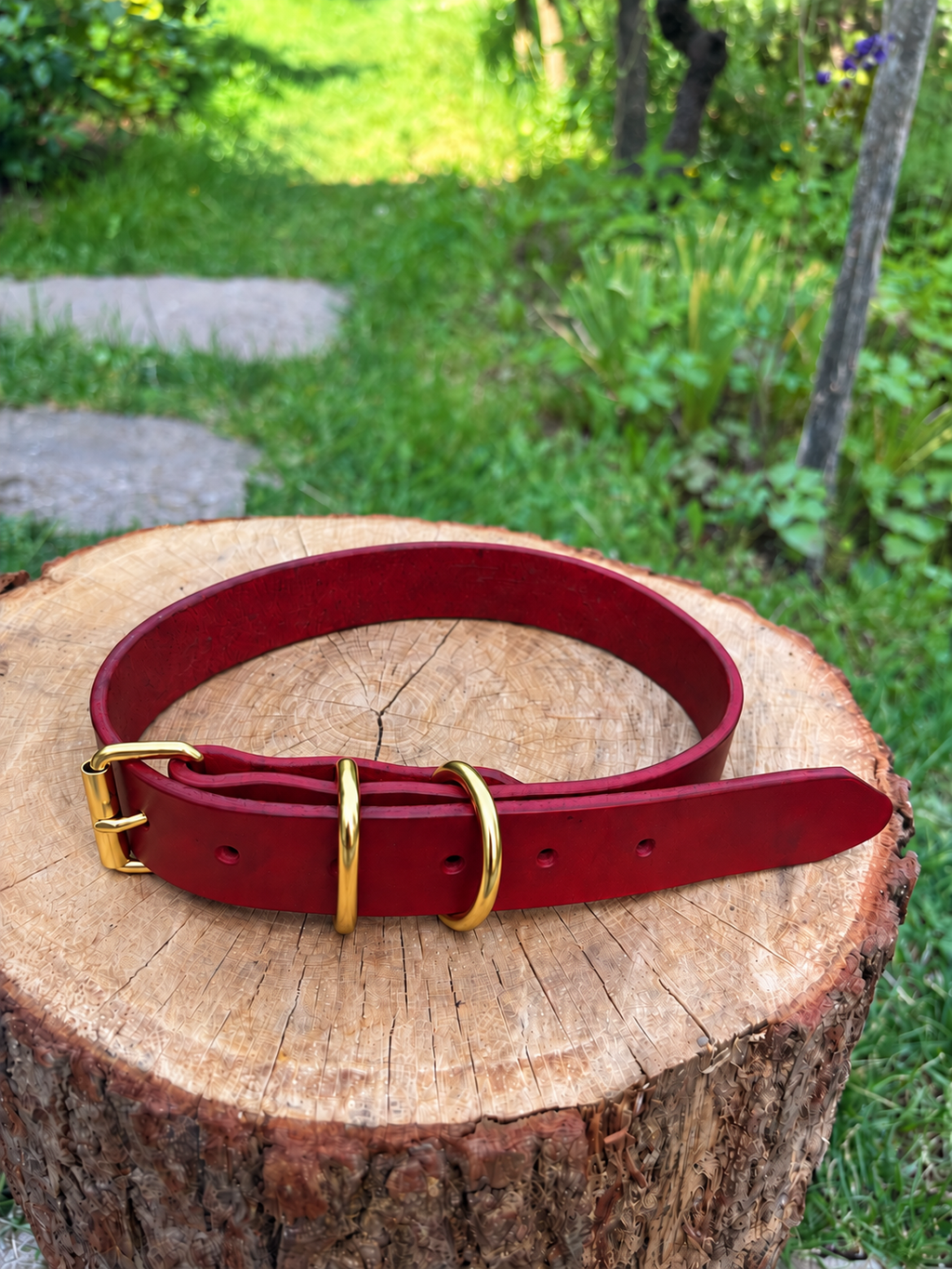 Lotti (3 cm)